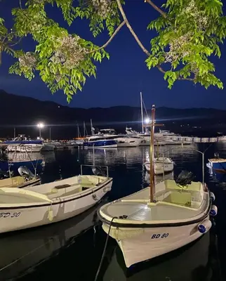 a group of boats docked in a harbor at night at Panorama Milocer Apartments in Budva