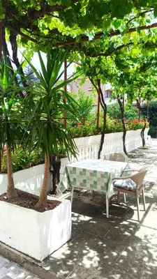 a park with a bench and a chair and trees at Guest house Rade Z in Budva