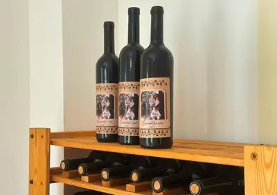 four bottles of wine sitting on a wooden shelf at Apartmani Suvodoli in Rvaši