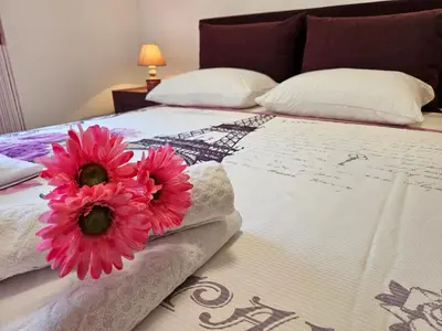 two pink flowers sitting on top of a bed at Luča apartman in Podgorica