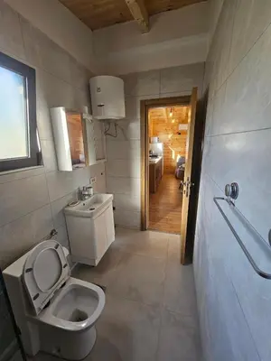 a bathroom with a toilet and a sink at Estuary Cottage Ada Bojana in Ulcinj