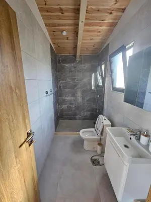 a bathroom with a toilet and a sink at Estuary Cottage Ada Bojana in Ulcinj