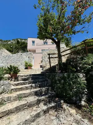 a group of stairs with a tree and a building at Villa Žukovica in Petrovac na Moru