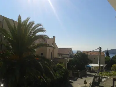 a palm tree in front of a building at Vera Apartments in Budva