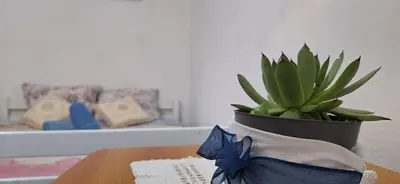 a plant in a pot on a table with a book at Apartment Belis Utjeha in Utjeha