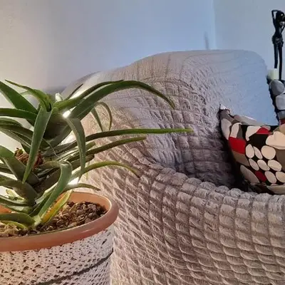 Apartment Belis Utjeha