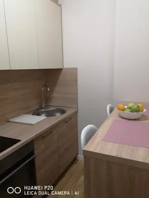 a kitchen with a sink and a bowl of fruit on a counter at Život je tren in Podgorica