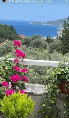 a bunch of pink flowers on a white fence at Villa M in Becici