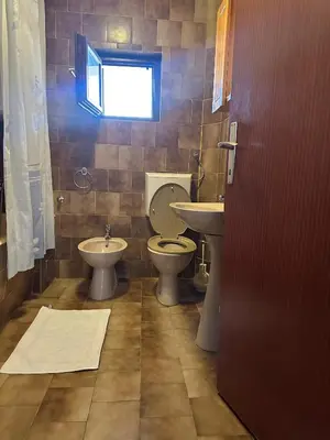 a bathroom with a toilet and sink and a window at Apartmani VV in Cetinje