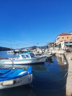a group of boats are docked in a harbor at Apartman u zelenilu Bigove in Kotor