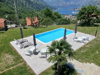 a swimming pool with a bunch of chairs and a palm tree at Apartments Orizzonte with beautiful view of the bay in Kotor