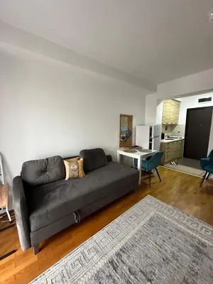 a living room with a couch and a table at Apartment Studio in Budva