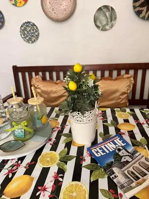a table with a potted plant on top of it at Old House in Cetinje