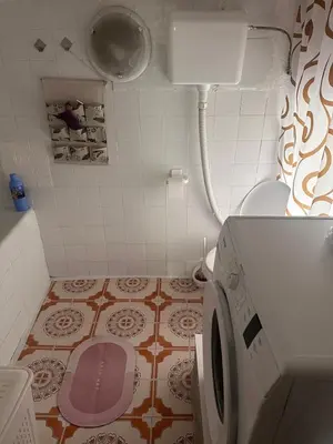a bathroom with a toilet and a washing machine at Old House in Cetinje