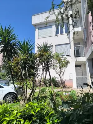 a white building with palm trees in front of it at Fun and spacious apartment in Budva