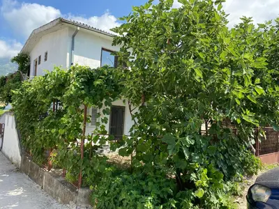 a white house with trees in front of it at Deskos Cottage in Sutomore in Zgrada