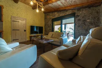 a living room with two couches and a tv at Rustic Cottage Montenegro Bridje in Podgorica