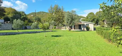 a yard with a house and a small tree at Rustic Cottage Montenegro Bridje in Podgorica