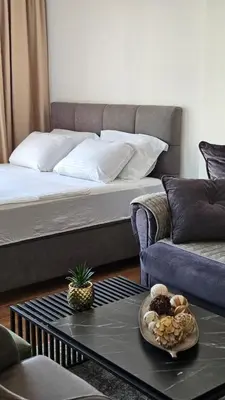 a living room with a bed and a coffee table at Podgorica apartments Planet in Podgorica