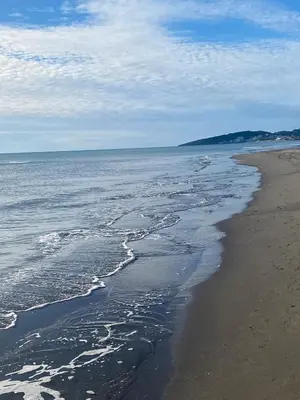 a beach with water and foam on the sand at Apartments David in Ulcinj
