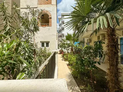 an alley between two buildings with a palm tree at Biser Apartmani in Dobra Voda