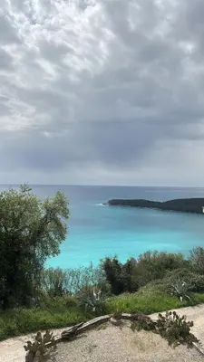 a view of the ocean from a hill with trees at Budva Felix Suites in Budva