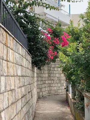 a brick wall with pink flowers on top of it at Villa Lila in Utjeha