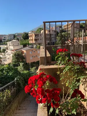 a bunch of red flowers on a balcony at Villa Lila in Utjeha