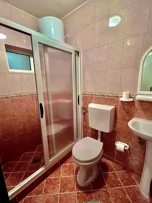 a bathroom with a shower and a toilet and a sink at Villa Pelinku in Ulcinj