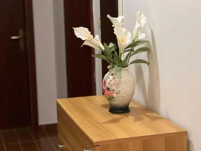 a vase with white flowers sitting on a dresser at Villa Pelinku in Ulcinj