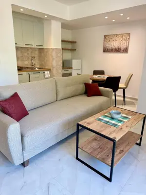 a living room with a couch and a table at Harmony Garden Apartments in Kotor