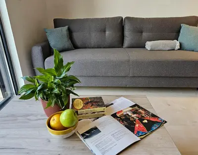 a living room with a couch and a table with a book at Harmony Garden Apartments in Kotor