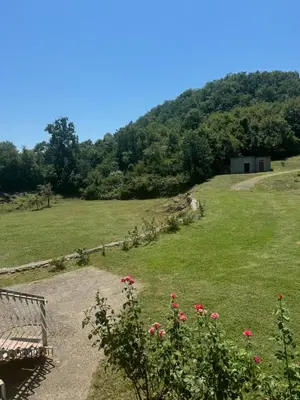 a bench on a hill with a field of flowers at Sweet house in Podgorica