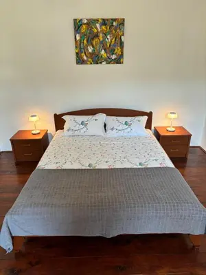 a bedroom with a large bed with two night stands at Apartman Ela Podgorica in Podgorica