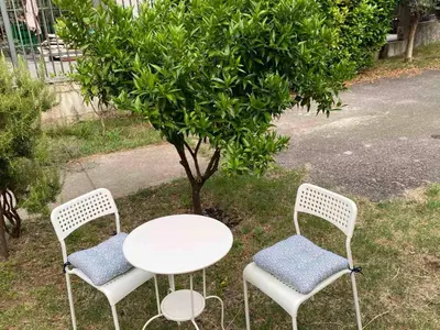 two chairs and a table and a table and a tree at Apartman Ela Podgorica in Podgorica