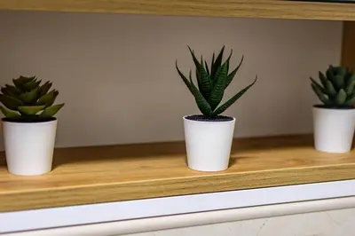 three plants in white pots sitting on a shelf at Two bedroom apartment Mali princ in Budva