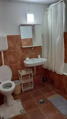 a bathroom with a toilet and a sink and a mirror at Milica, Soba sa kupatilom in Petrovac na Moru
