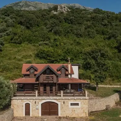 Panora Oliva