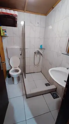 a bathroom with a shower and a toilet and a sink at Sidro river house in Ulcinj