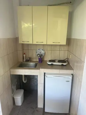 a small kitchen with a sink and a dishwasher at Apartmani Resetar 2 in Brca