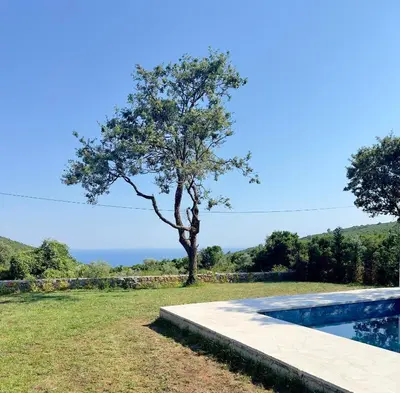a tree standing next to a swimming pool at Villa LuceSole Budva in Budva