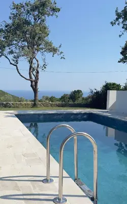 a swimming pool with a tree in the background at Villa LuceSole Budva in Budva