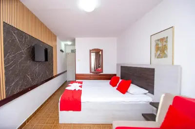 a bedroom with a bed and a tv on a wall at Apartments Palma in Budva