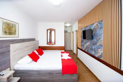 a bedroom with a bed with red pillows and a tv at Apartments Palma in Budva
