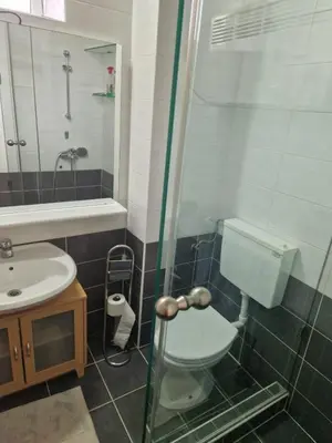a bathroom with a shower and a toilet and a sink at Stonehouse Mimi in Lapčići