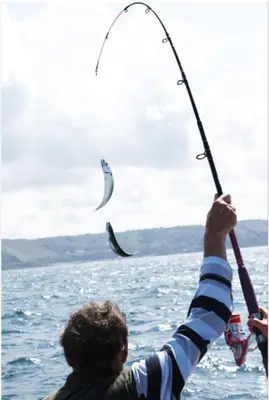 a man holding a fishing rod in the water at Montebar2 in Brca