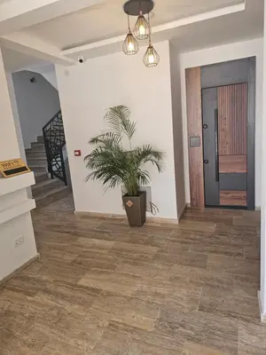 a hallway with a potted plant and a staircase at La Vida Apartments in Babalonija