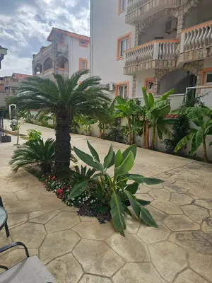 a courtyard with a palm tree and some plants at La Vida Apartments in Babalonija
