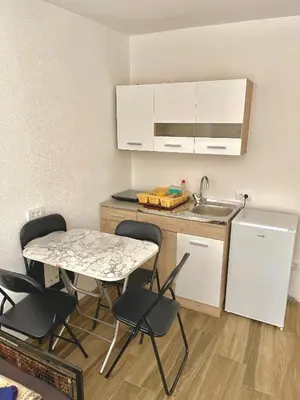 a kitchen with a table and chairs and a sink at KAP Apartments in Sutomore