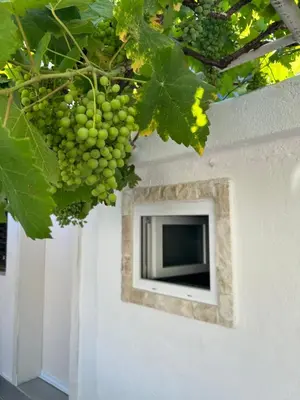 a television on a wall with a bunch of grapes at Zinzula 1 in Bar